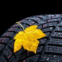 Fall Car Care